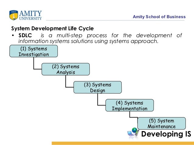 Developing Managerial Information Systems